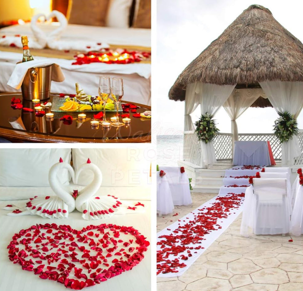 1000pcs Silk Rose Petals